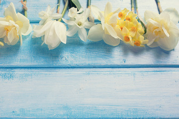 Background with fresh spring white and yellow flowers