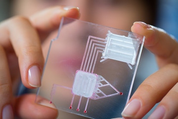 A lab on chip is device
