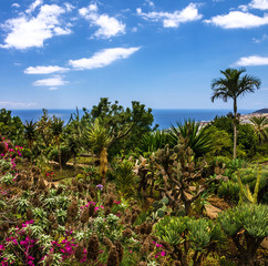 Fototapeta na wymiar Botanical Garden Monte, Funchal, Madeira, Portugal