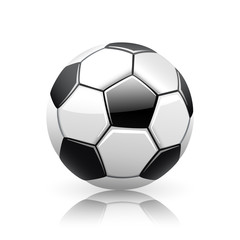 Fototapeta premium Realistic Vector Soccer Ball