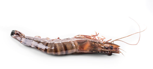 Raw tiger shrimp.