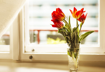 Bouquet of tulips on the window ,indoors
