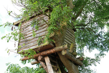 Baumhaus auf Laubbaum