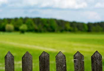 Wood fence