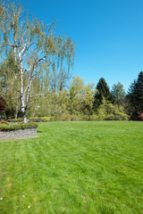 peaceful park