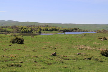 lac Sauvage, Auvergne, Cantal