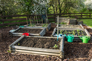 Wooden garden beds in the spring