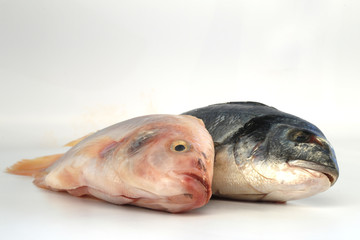 fische