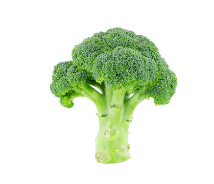 Broccoli isolate on white with clipping path