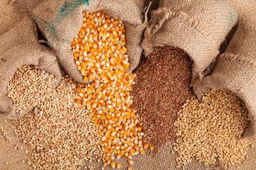 Organic seeds:  buckwheat, corn flax and wheat in jute sack