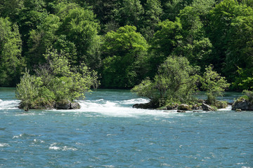 Rheinfall Insel