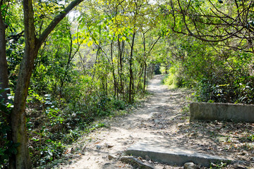 path through the park