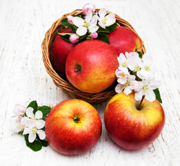 apples  and apple tree blossoms