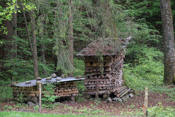 Holzvorrat am Waldrand
