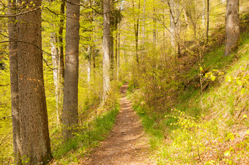 Wanderweg