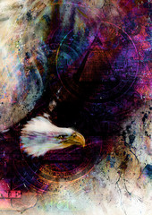  flying eagle beautiful painting illustration, with one dollar 