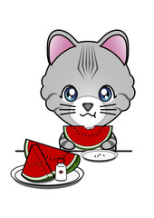 すいかを食べる猫