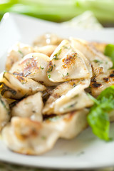  Teigtaschen gefühlt mit fleisch 