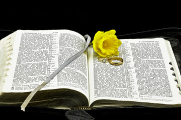 Wedding rings and daffodil flower with bible on black background
