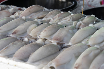 Fresh Squid lay on Tray