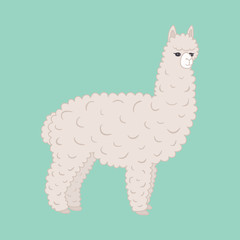 Cute alpaca. Vector illustration, eps10.