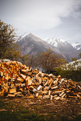 Firewood