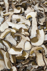 italian crafts cheeses