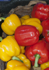 red and yellow pepper