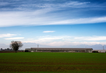 Obraz premium Tuscany - typical scenic landscape, Italy