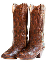 Bottes danse country en python sur fond blanc