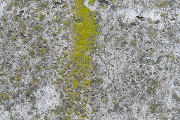 Concrete texture