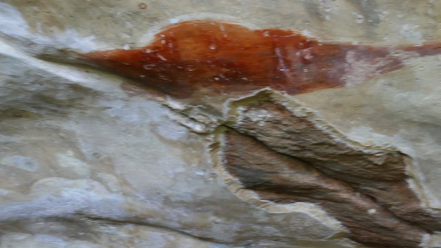Sigiriya maiden - frescoes at rock fortress in Sri Lanka
