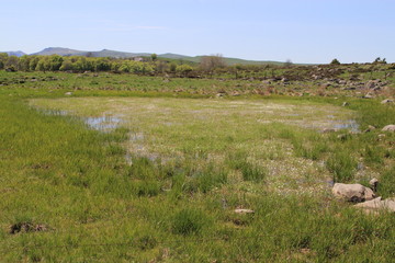 tourbi&egrave;re, Auvergne, Cantal