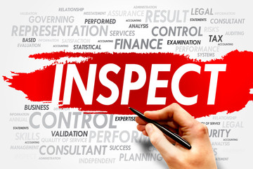 INSPECT word cloud, business concept