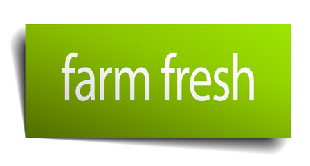 farm fresh green paper sign isolated on white
