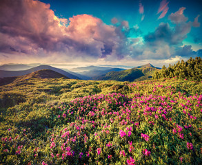 Colorful summer sunrise in the mountains