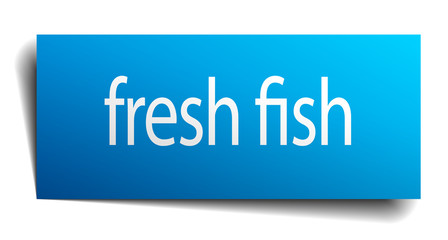 fresh fish blue paper sign on white background
