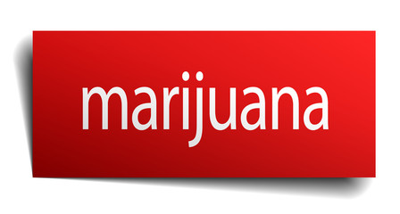 marijuana red square isolated paper sign on white