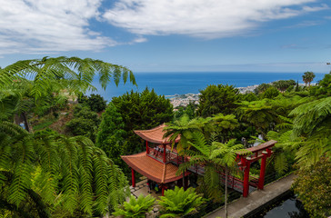 Fototapeta na wymiar Landscape from Monte Palace Tropican Garden.