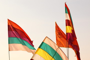 Colorful Flag in the wind