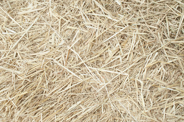 Macro texture of straw collected in a haystack in summer sunligh