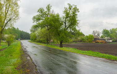 Fototapeta na wymiar Wet spring in rural area, central Ukraine
