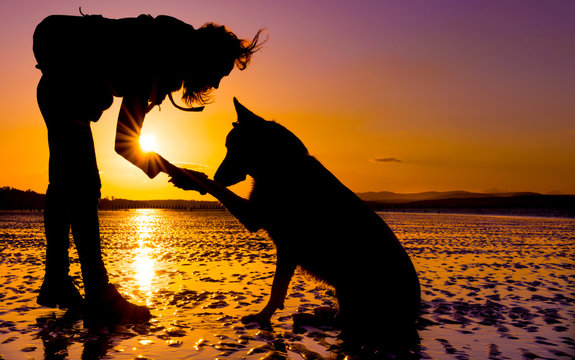 Hipster girl playing with dog at a beach during sunset