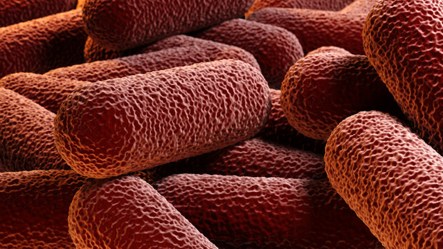 Crowd of rod-shaped bacteria