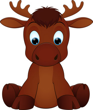 Funny moose