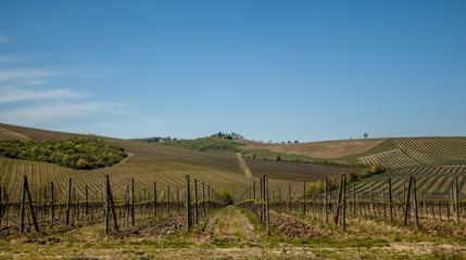 Fototapeta premium Toskana Chianti Landschaft