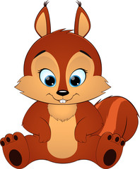 Cute squirrel on white background