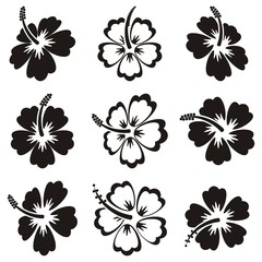 Vector hibiscus silhouette icons - obrazy, fototapety, plakaty
