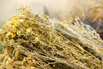 dried herbs, tansy, yarrow, wormwood, poppy, ear