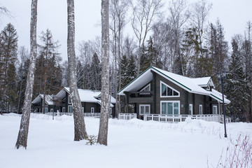 Wooden cottages in winter with birches on foreground